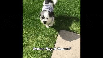 hookseo buy house buy a house buyhouse all things real estate GIF