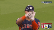 World Series Baseball GIF by MLB
