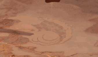 The Lion King Animation GIF by Disney