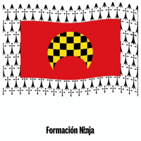 Flag Spain GIF by Formación Ninja