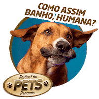 Gato Sticker by Prezunic