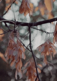 OnelifeFitness  GIF