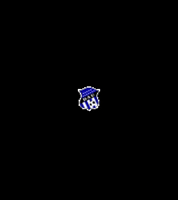 arabeunido arabe dau GIF