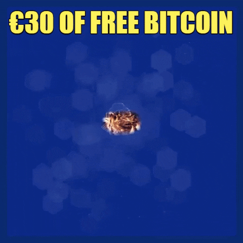 Free Bitcoin GIF by Crypto GIFs & Memes ::: Crypto Marketing