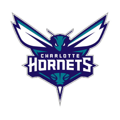 Charlotte Hornets Logo Sticker by NBA