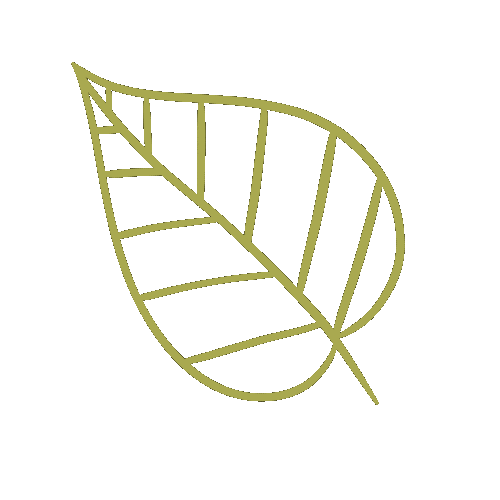Plant Leave Sticker by Tacméla