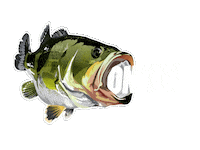 Bass Fishing Sticker by Bucketmouthbrand