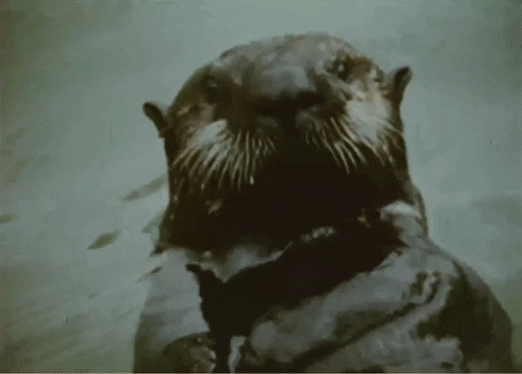 Vintage Swimming GIF by US National Archives