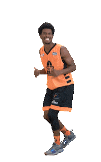SPDC cbb wilson basquete basquetebol Sticker