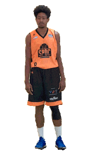 SPDC cbb wilson basquete basquetebol Sticker