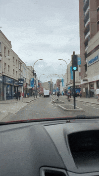 GIF by Stella 52