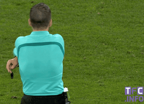 ligue 1 referee GIF by Toulouse Football Club
