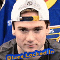 St Louis Blues GIF by STL From Above