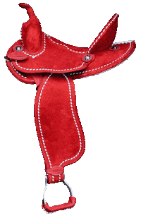 Ride Rodeo Sticker by RANCH DRESS'N