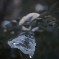 satisfying GIF