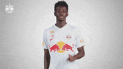 Football No GIF by FC Red Bull Salzburg