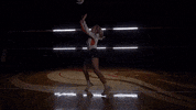 MSUMDragons dragons msum msum dragons msumoorhead GIF