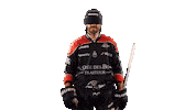 Celebration Goal Sticker by Les Ducs d'Angers