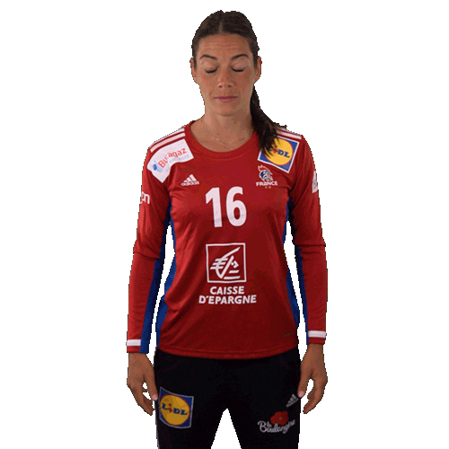 Ffhandball Sticker by Fédération Française de Handball