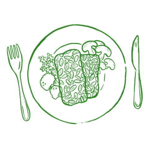 TempeaFoods giphyupload vegan soy tempeh Sticker
