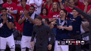 Nba Playoffs Sport GIF by NBA