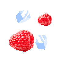 Drink Fruit Sticker