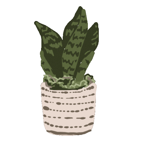 RachelBrei green plant plant mom house plant Sticker