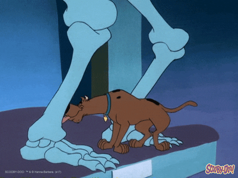 Dog Food GIF by Scooby-Doo