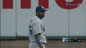 la love GIF by MLB