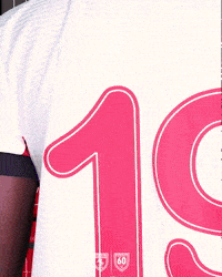 King Of The North GIF by SAMSUNSPOR