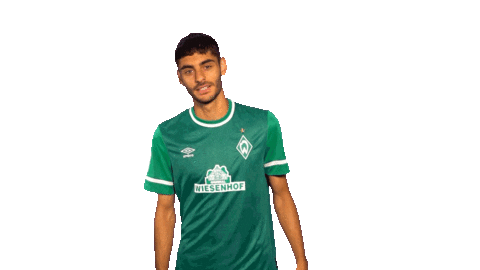 Fussball Sticker by SV Werder Bremen
