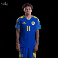 Fifa World Cup Curacao GIF by Respective