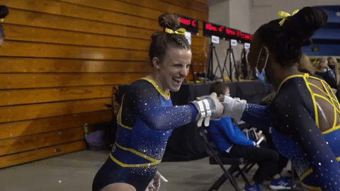 Sjsu Spartanup GIF by San Jose State Spartans