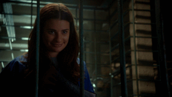 fox broadcasting comedy GIF by ScreamQueens