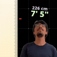7' 5"
