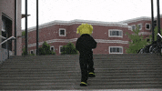 Wu_Shock wsu wu wushock shockers GIF