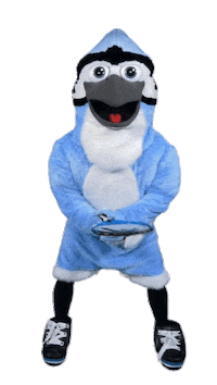 Blue Jay Tennis Sticker by Johns Hopkins University