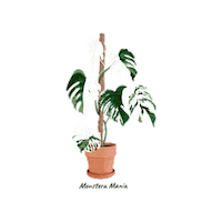 Plant Sticker by Monstera Mania