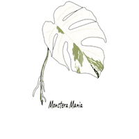 Plant Sticker by Monstera Mania