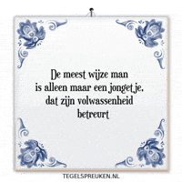 Humor Wijsheid GIF by Tegelspreuken.nl