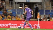 Goalkeeper Goalie GIF by Football Australia