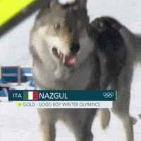 Happy Lets Go GIF