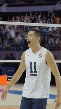 American Love GIF by Volleyball World