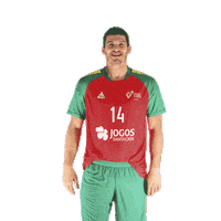 Ehfeuro Sticker by Federação de Andebol de Portugal