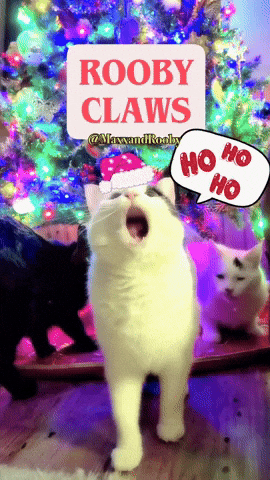 Santa Hat Cat GIF