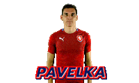 Czech Republic Ceskarepre Sticker by 2score
