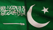Pakistan GIF