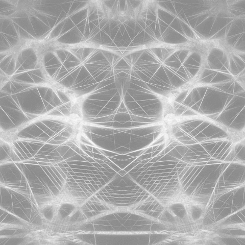 setforset giphygifmaker GIF