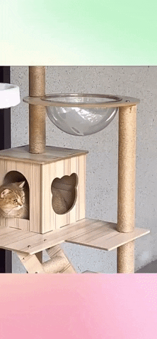 parisleelee giphyupload GIF