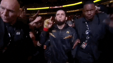Mixed Martial Arts Sport GIF by UFC